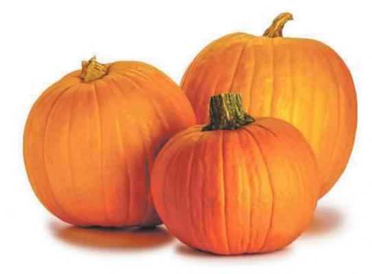 Interesting facts about pumpkins