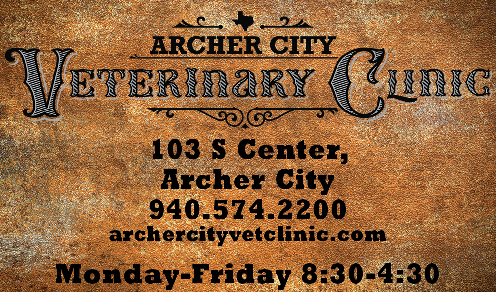 Logo of Archer City Veterinary Clinic