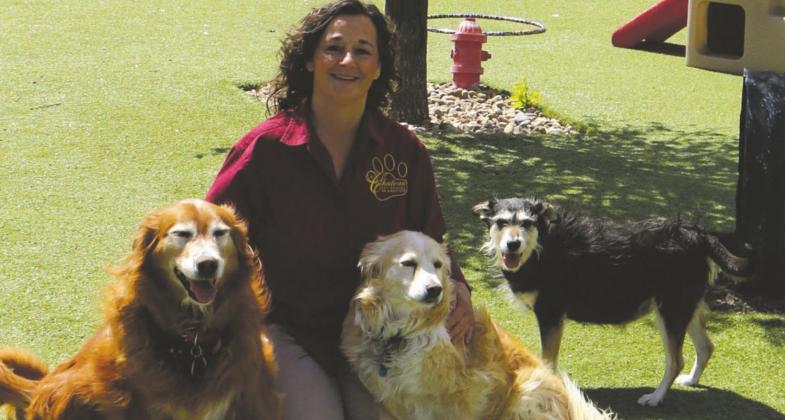 Dawn Hallgren is opening her second Le Chateau Pet Resort location at 5351 Hwy. 79 S. in Archer County. Courtesy photo/Le Chateau Pet Resort