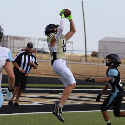 (Photo/Will Edwards)