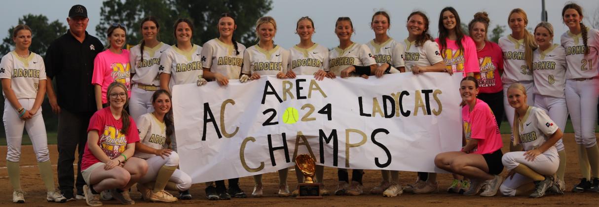 Team banner