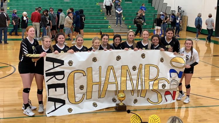The Archer City Lady Cats pose with their banner and trophy after beating Bosqueville in the area round of the playoffs Monday, Nov. 2, in Lake Worth. Photo/Will Edwards