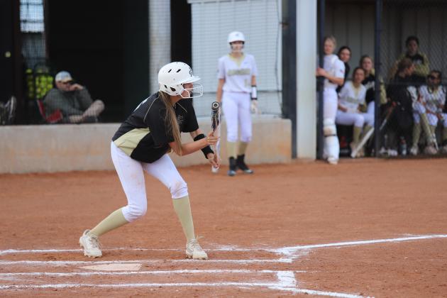 Brilee Canada bunt