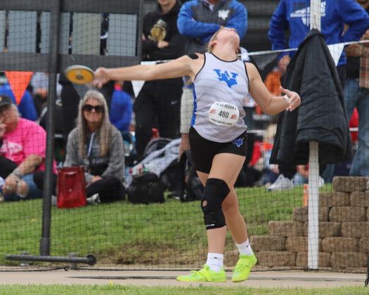 Gabby Hoegger disc