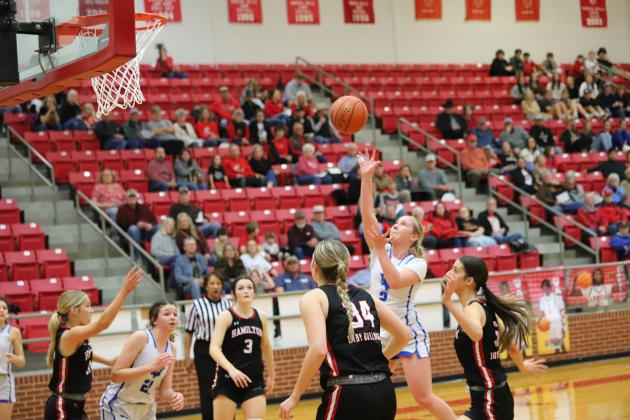 Windthorst's Megg Lindley floater