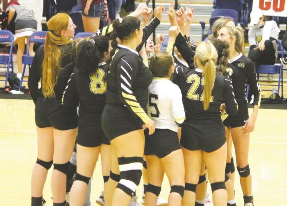 Lady Cats bow out in regional quarterfinals