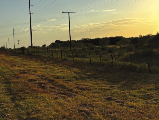 A 107 Acre property between Lakeside City East and West could be the future home of Lakeside City Central if the city and developers can find feasibility in the 73-home addition. Photo/Nathan Lawson