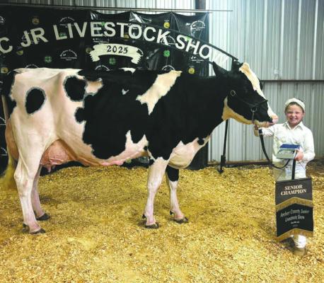 Baylor Mitchell poses with her Grand Champion Dairy Cow Project. Courtesy