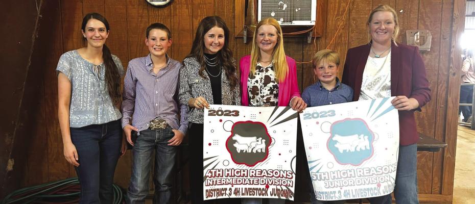 4-H competes in livestock judging