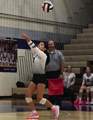 Lady Cats season ends in bi - district loss to Hico