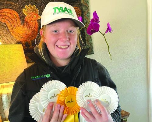 Holliday 4-H's Ava Dora placed 4th in youth all-around VRH ranch horse, third in youth cutting, 4thin working cow horse, 4th in youth trail, 4th in ranch riding and 4th in confirmation at the Fort Worth Stock Show and Rodeo. Courtesy photo