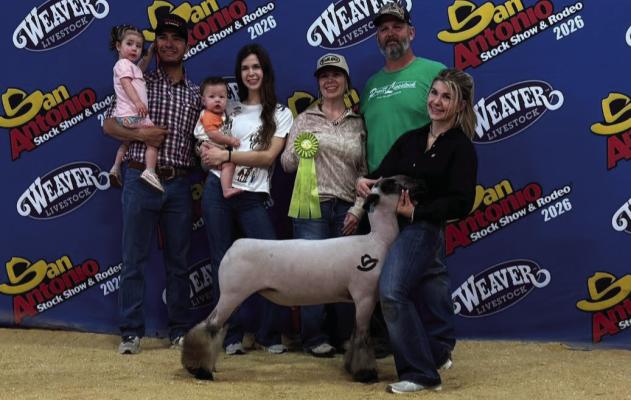 Zee McCall was seventh place class one lamb at the San Antonio Stock Show and Rodeo. Courtesy photo