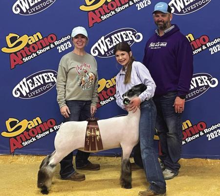 Archer County 4-H's Kinzee McCall placed 9th with her medium wool lamb and made the sale at the San Antonion Stock Show and Rodeo. Courtesy photo