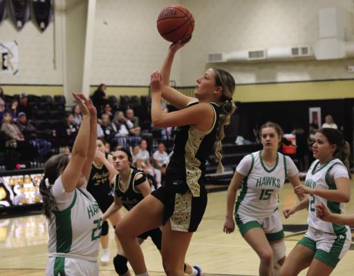 Lady Cat Serenity Jones jumps above a Lady Hawk defender for a mid-range shot during the tournament. Photo/Landon Davis