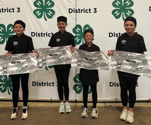 Distr ict 4 -H Food Challenge