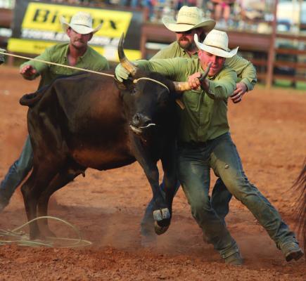 The Burns Ranch team prepares a cow for milking during the wild cow milking event at the Archer County Ranch on Thursday, June 18. The team finished second overall. Photo/Nathan Lawson