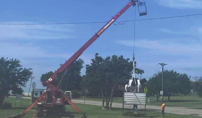 The dairy cow atop of the sign at the intersection of Hwy. 25 and U.S. 281 was taken away for maintenance on Thursday, July 15. The cow is projected to return Wednesday, July 28. Courtesy photo/City of Windthorst