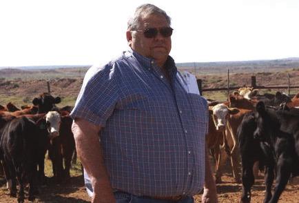 THE UPGRADING KIND are the cattle that Tommy Berend has long gambled in. The longtime yearling operator believes in buying them light, putting on that compensatory gain and making them look and sell right up there with the good kind Courtesy photo/Livestock Weekly