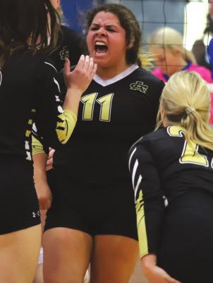 All-District volleyball honors announced