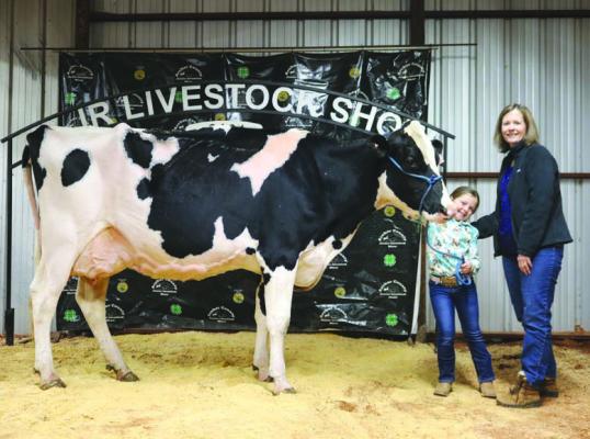 Baylor Mitchell poses with her Grand Champion Dairy Cow Project. Photo/Nathan Lawson