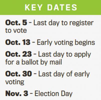 Voting in Archer County