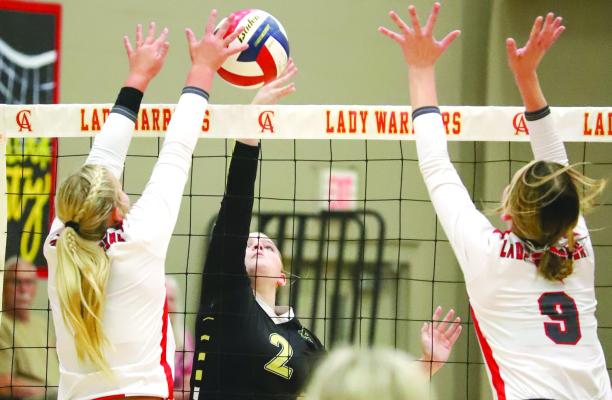VB Roundup: Lady Eagles,  Trojanettes move up in rankings