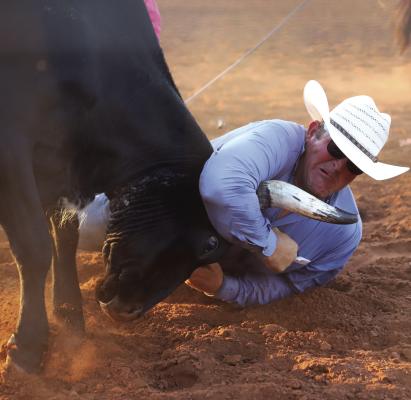 Flying C Ranch Rodeo Team member Shawn Runyan wrangles a cow in the wild cow milking event on Friday, June 14. The 79th Archer County Rodeo and Ranch Rodeo was the first to feature the event on all three nights. Photo/Landon Davis