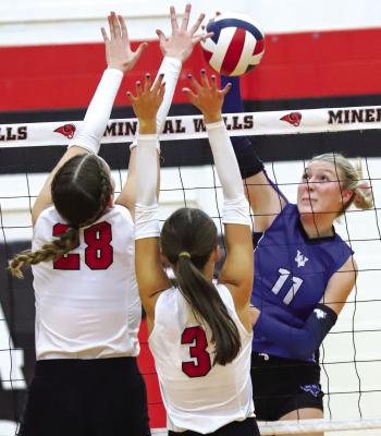 Trojanettes punch ticket to regional tournament
