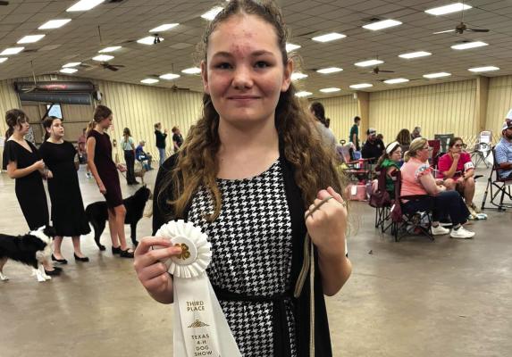4-H State Dog Show