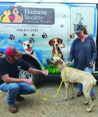 The Humane Society of Wichita County came to pick up five dogs from the Archer City Police Department that were seized as part of a animal cruelty case on Saturday, April 20. Courtesy photo/City of Archer City