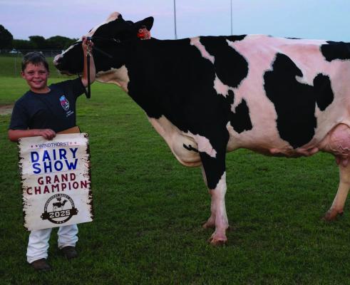 Jack and Baylor Mitchell were the Grand and Reserve Champions at the Windthorst Junior Dairy Show on Tuesday, June 10. There were over 100 entries in this year's event. Courtesy photo