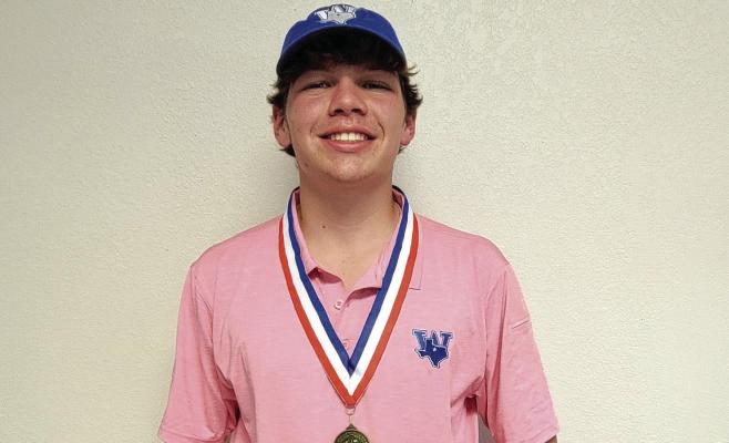 Brown earns golf district title