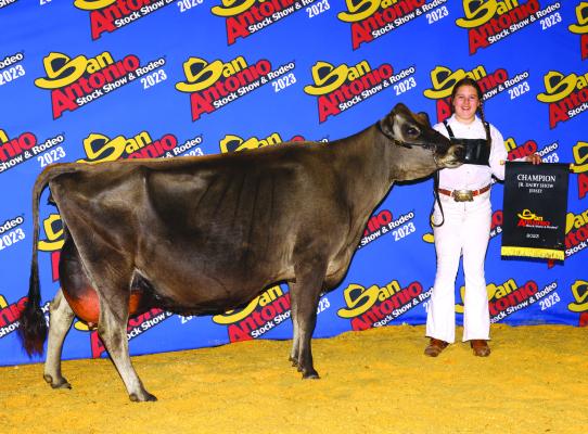 Aubree Hoegger was Grand Champion Jersey Cow and the 2023 $10,000 San Antonio Scholarship winner. She also had Reserve Grand Champion Jersey Cow, Junior Champion Jersey Heifer and Reserve Junior Champion Jersey Heifer. Courtesy photo