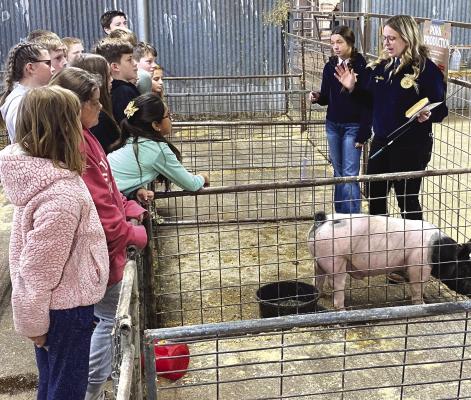 Archer County Ag Day