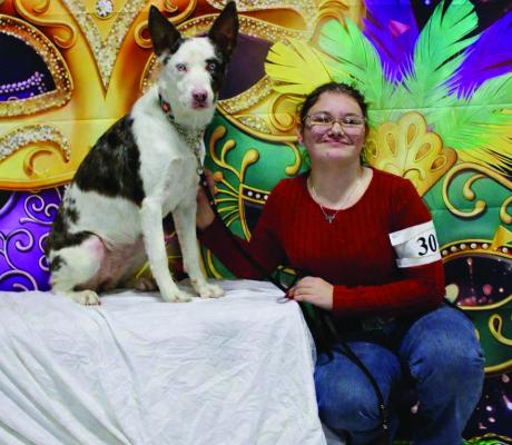 Leah and Khaleesie placed 2nd in Conformation (Mixed Breed 25-54lbs), 3rd in Showmanship (Novice), 5th in Costume, 5th in Rally Novice B, and 6th in Obedience Novice B at Montgomery Co Dog Show on Saturday, Feb. 7 Courtesy photo