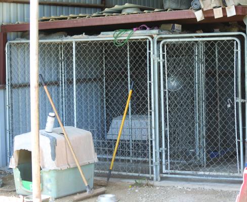 Archer City’s municipal kennel sits prepared for use as the city updated its animal control ordinance on who can pick up dogs and enforce the ordinance during its meeting Thursday, March 26. Photo/Nathan Lawson
