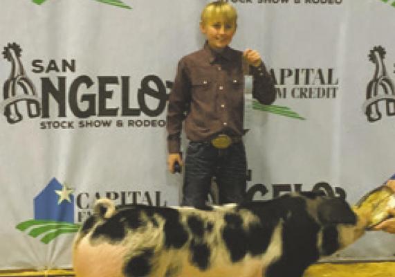 Hulse places in San Angelo