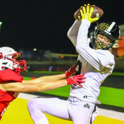 Hornets too much for ‘Cats in bi- district