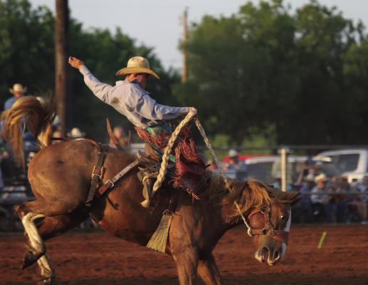A Bucking Success