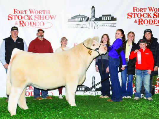 FWSSR Steer Sale