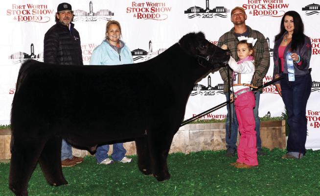 Ava Cordell had a1st Place Steer which made the sale at the Fort Worth Stock Show and Rodeo. Courtesy photo