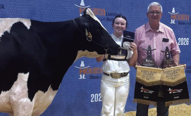 Ava Koetter earned Reserve Grand Champion Holstein cow - Open and Junior show, Reserve Grand Champion Milking Shorthorn heifer, Honorable Mention Milking Shorthorn cow and Holstein Senior Showmanship Champion. Courtesy photo