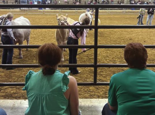 Revell, Parkey at state fair