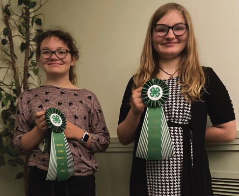 Leah and Taylor Conrad, Holliday 4-H, placed first in the Intermediate Health and Wellness category at the 4-H district roundup. Courtesy photo