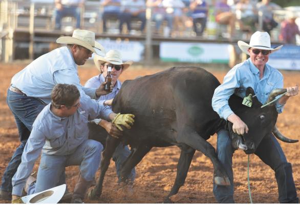 80th Archer County Rodeo, Ranch Rodeo wrangles in large crowds