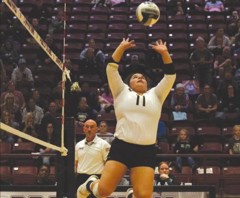 Archer City’s Maddie Lopez sets the ball in the second set of the Lady Cats 3-1 loss to Bremond in the regional semifinals on Nov. 12 at Princeton. Lopez was selected to the all-tournament team. Photo/Jenny Schroeder