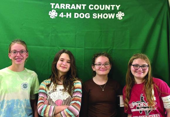 Dog and fashion show results