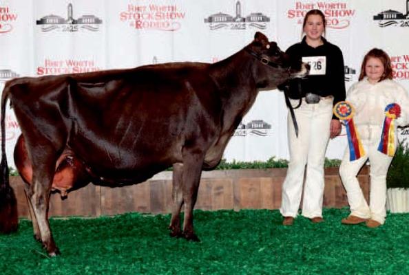 Aubree Hoegger won Junior Grand Champion Cow and Reserve Junior Champion Heifer in the Jersey Division And won Open Grand Champion Cow and Junior Champion Heifer in the Open Show of the Jersey Division. Courtesy photo