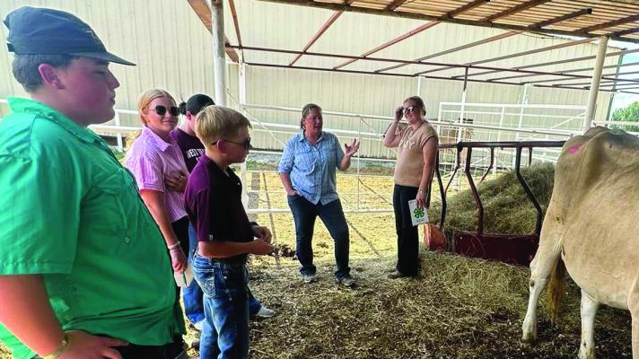 Dairy Judging practicing for Nationals