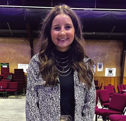 Parkey elected District 3-4H President